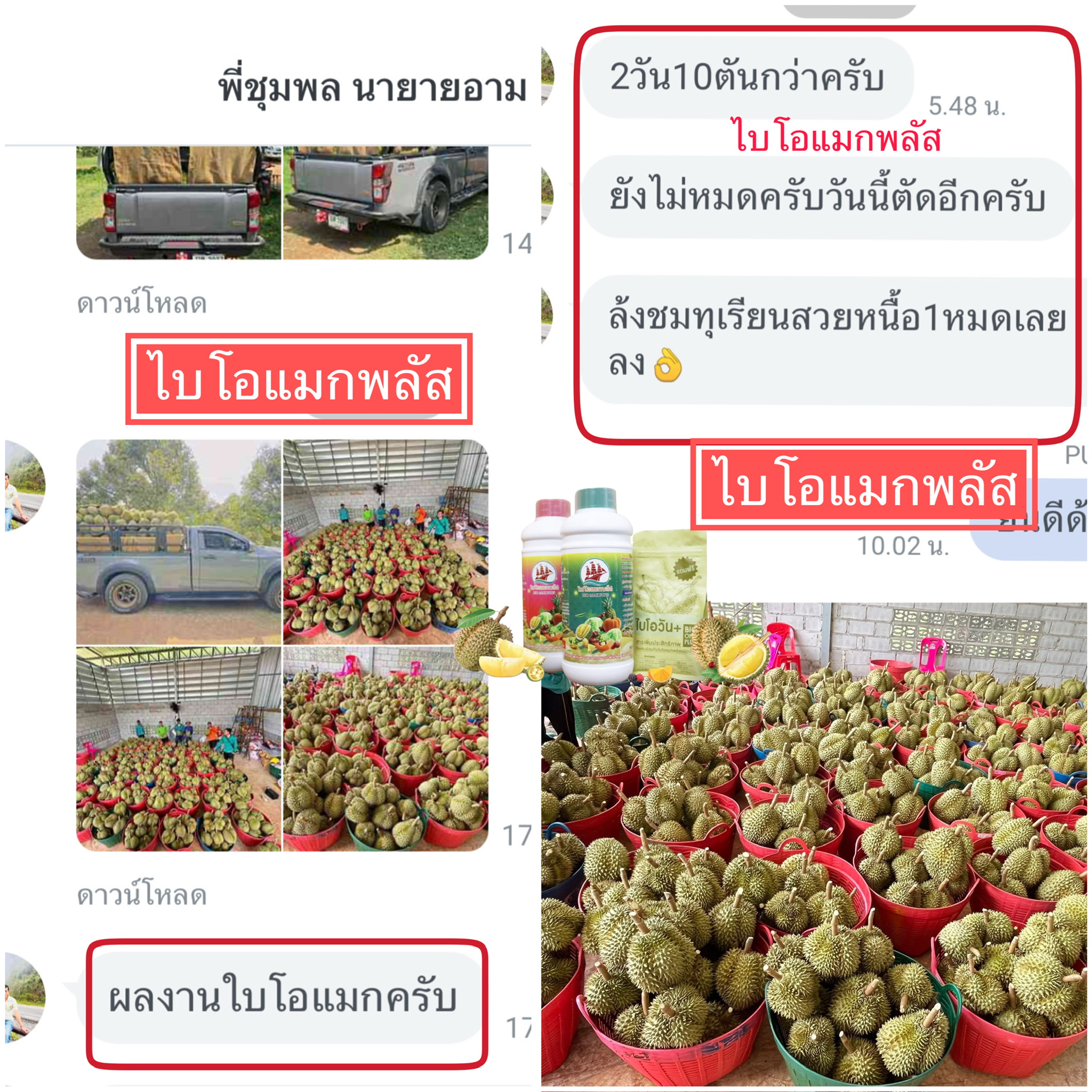 Responsive image